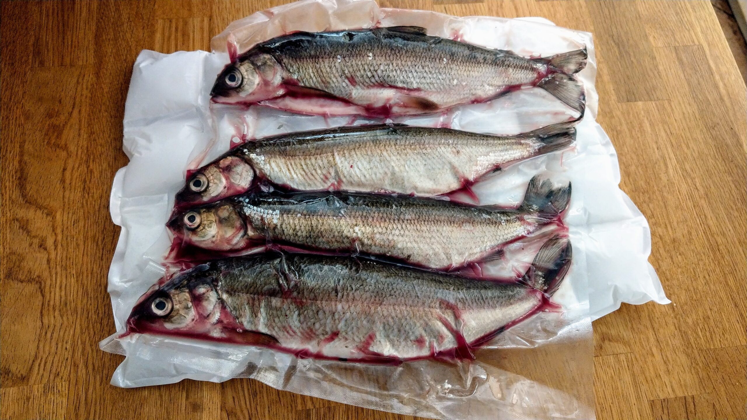 Silvershoal (or their local Irish version) fresh from the fishmonger