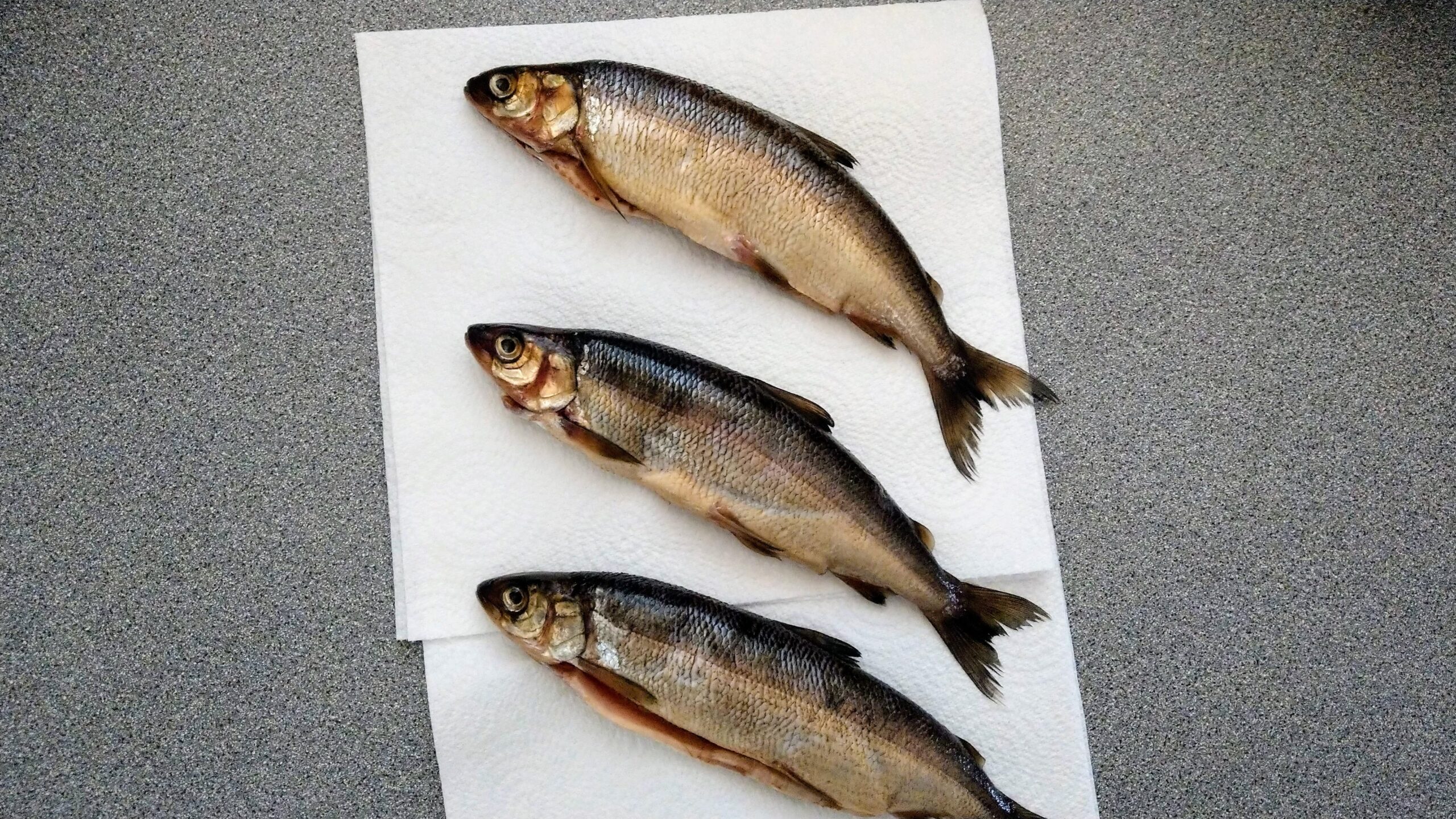 Brined and patted-dry whitefish