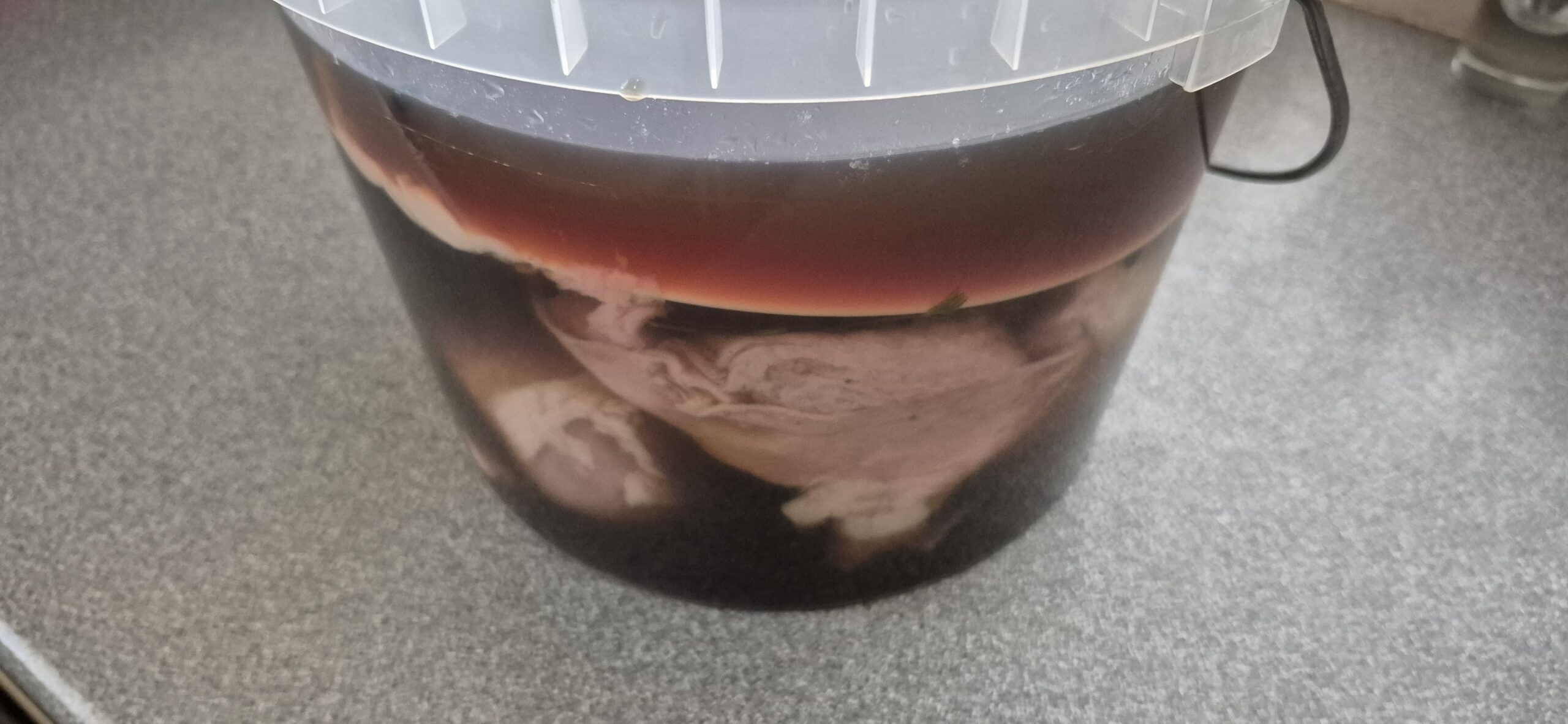 The chicken submerged in brine