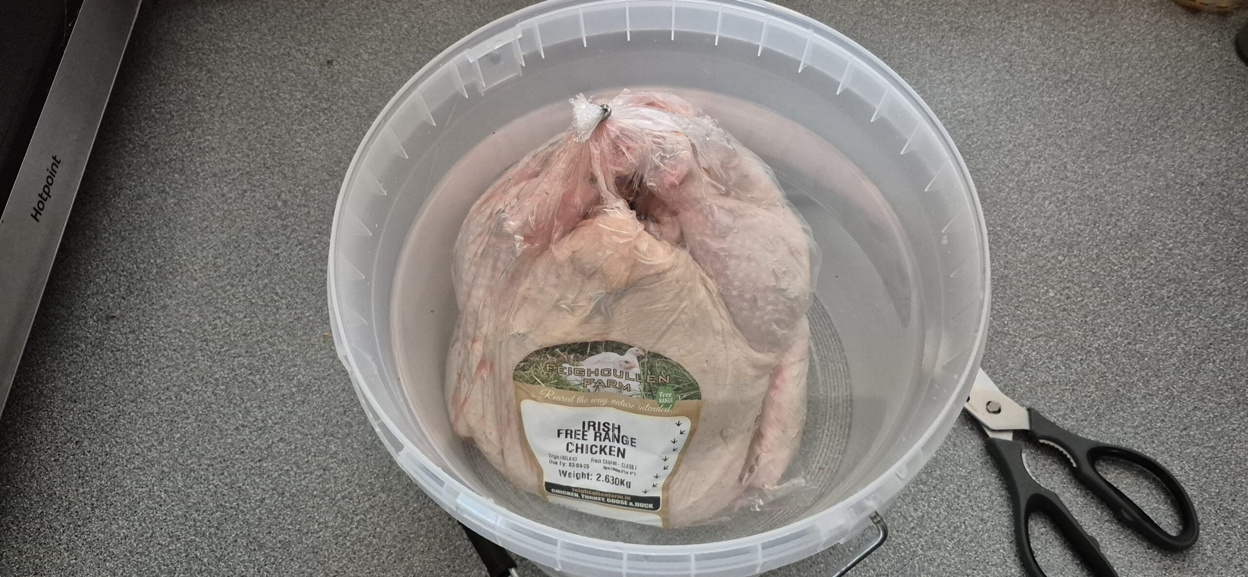 Testing the chicken and bucket for size