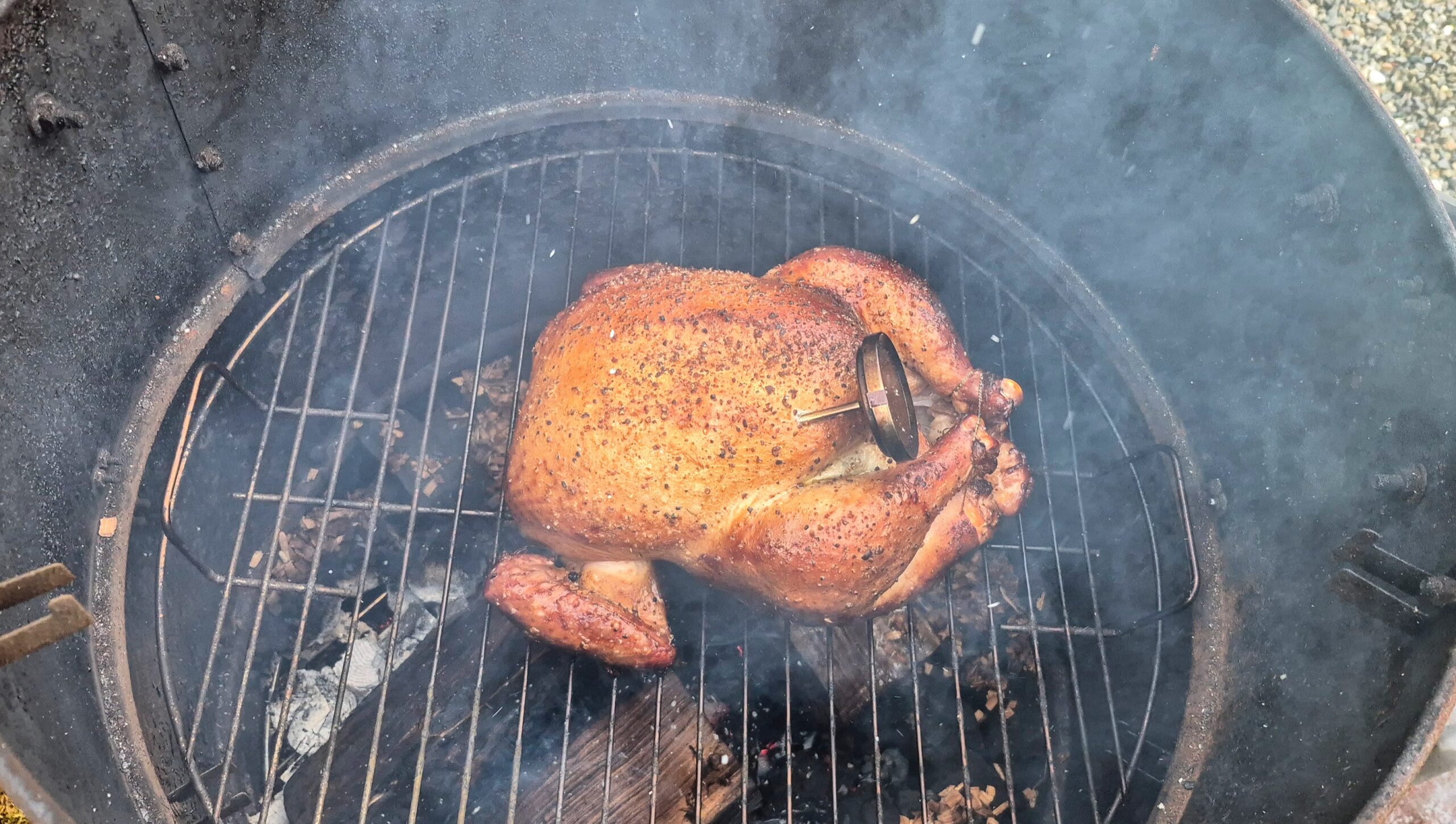 Checking the chicken