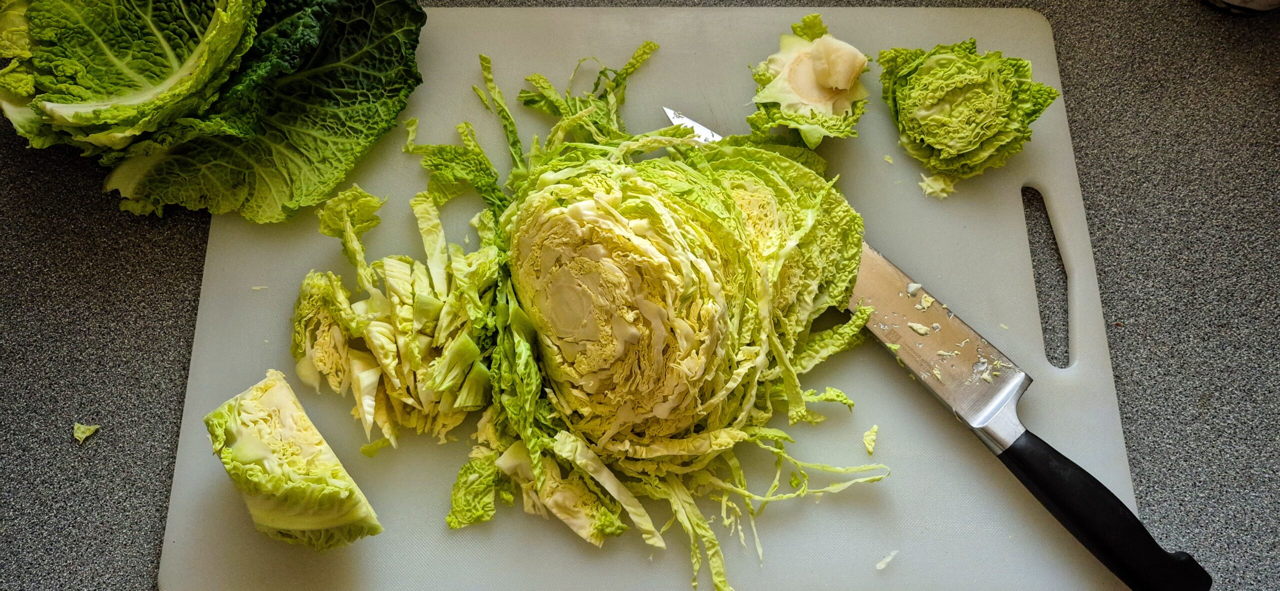 A small Savoy cabbage, sliced for shredding